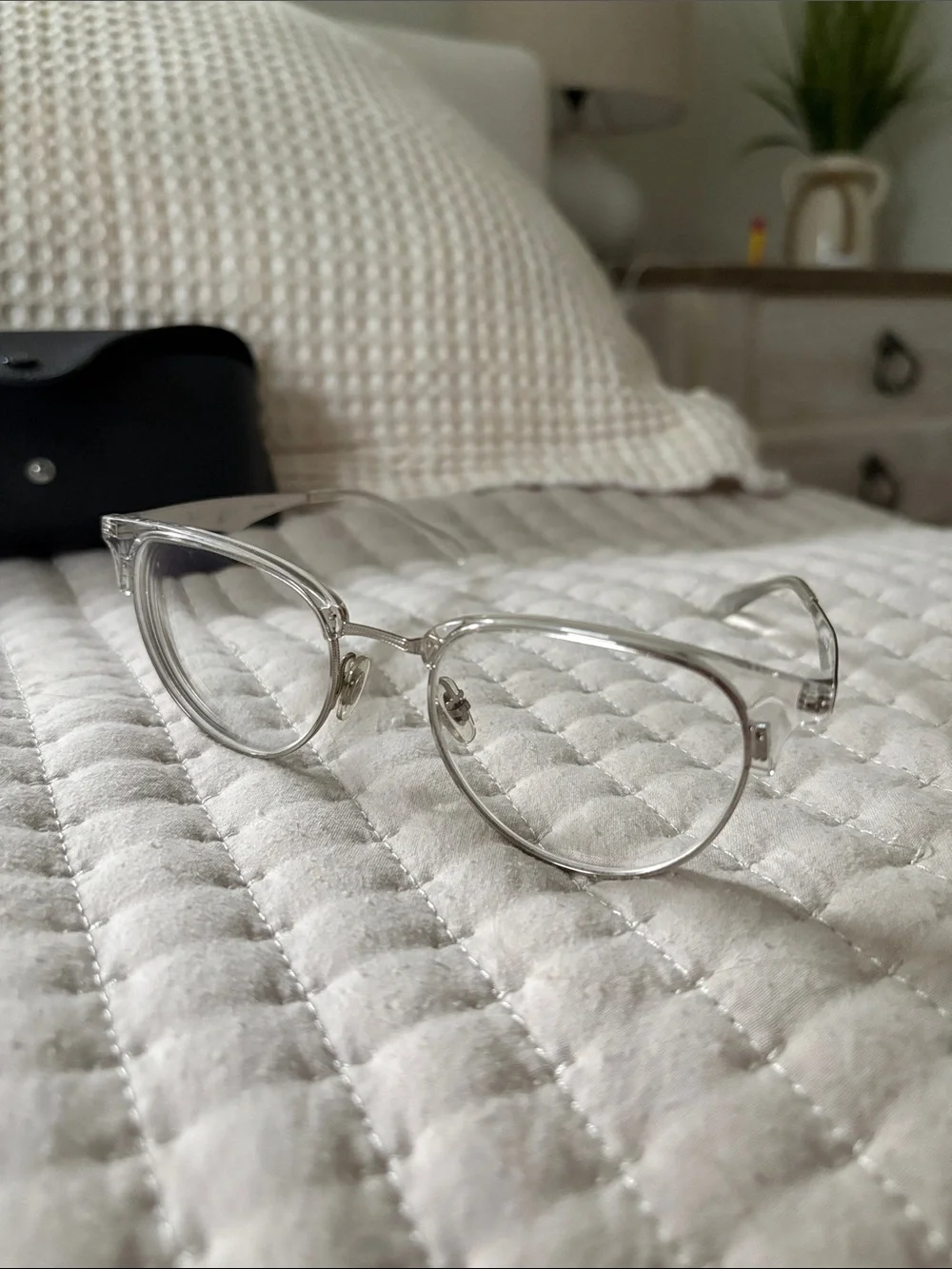 Ray-Ban Black Leather Eyeglass Case with Silver Frames
